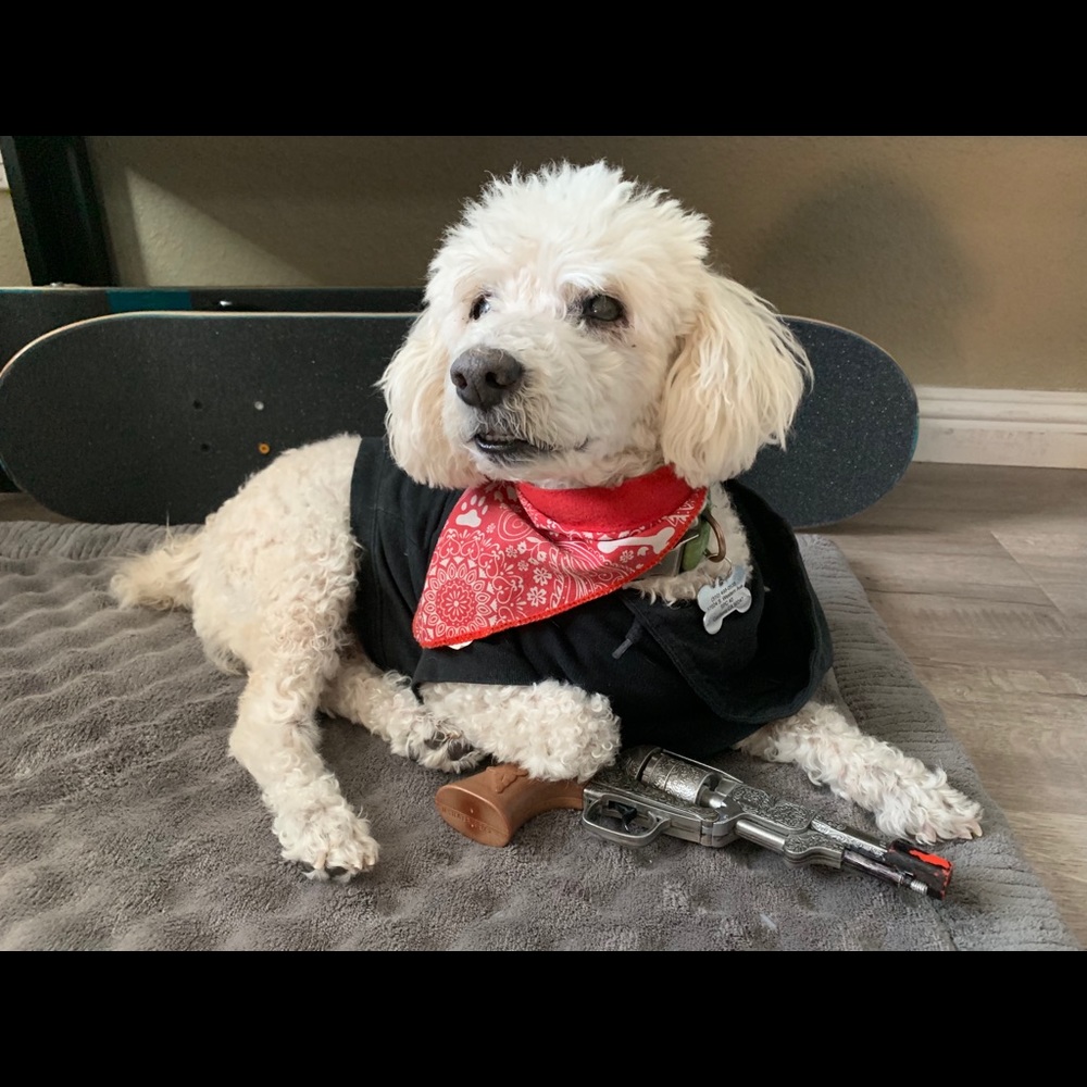 Meet your Posher, Luis